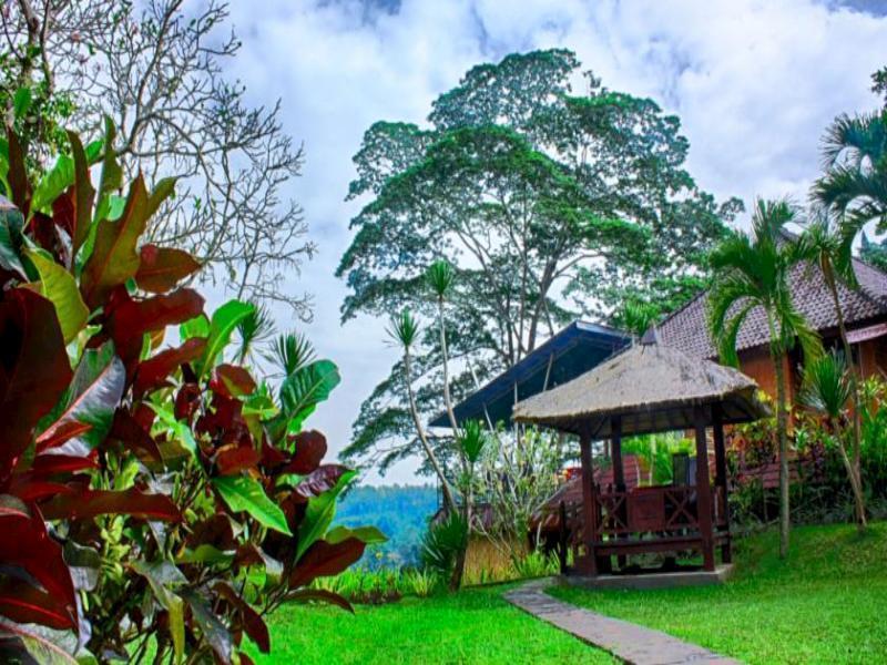 Puri Bunga Resort Ουμπούντ Εξωτερικό φωτογραφία
